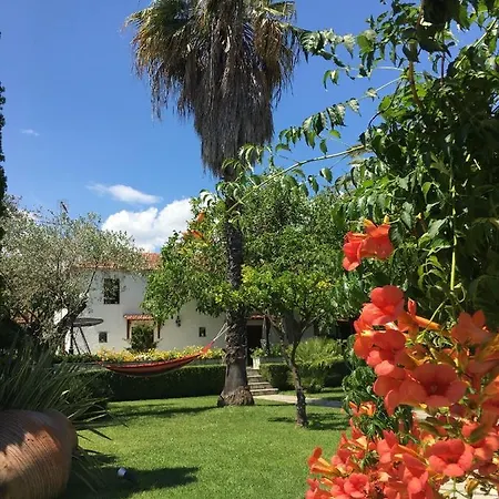 بيت للعطل Olive Áno Lekhónia