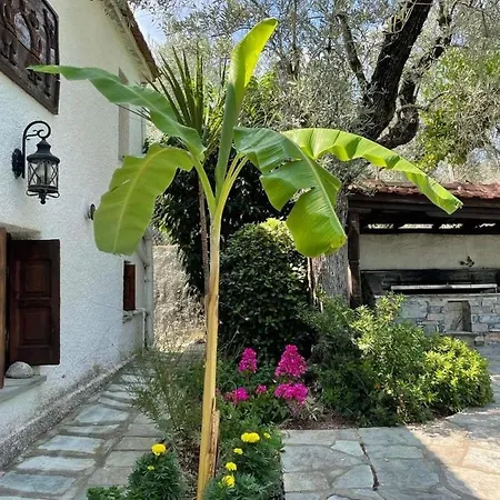Olive Holiday home